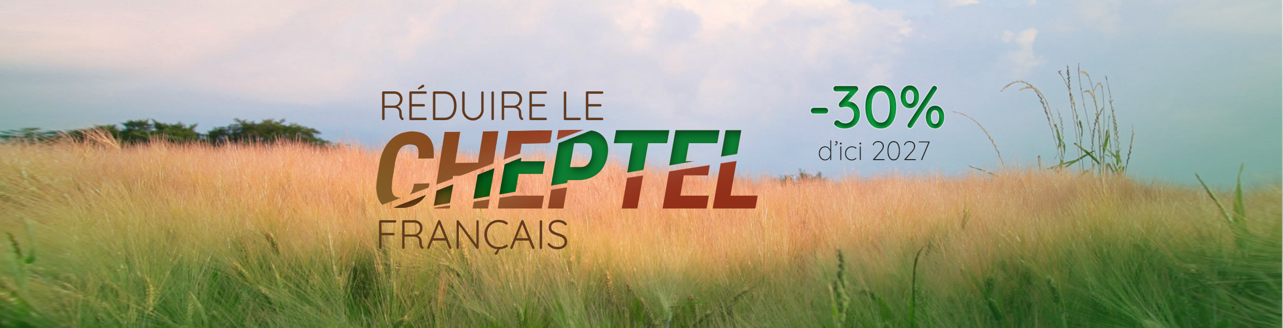 Réduire le cheptel français, -30% d'ici 2027